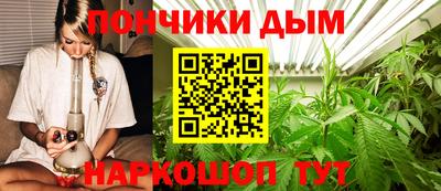 сатива Кинель