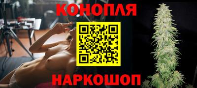 сатива Кинель