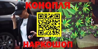 прущие грибы Кимры