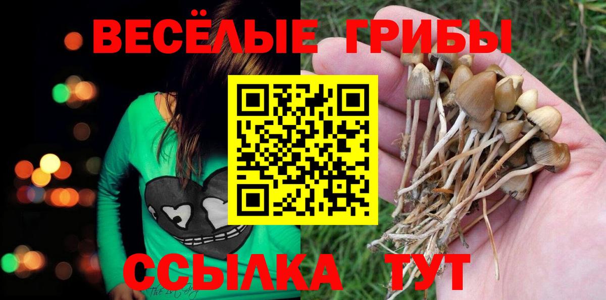 Галлюциногенные грибы Cubensis  Галлюциногенные грибы мухоморы  где купить наркоту  Вход с VPN  Кыштым 