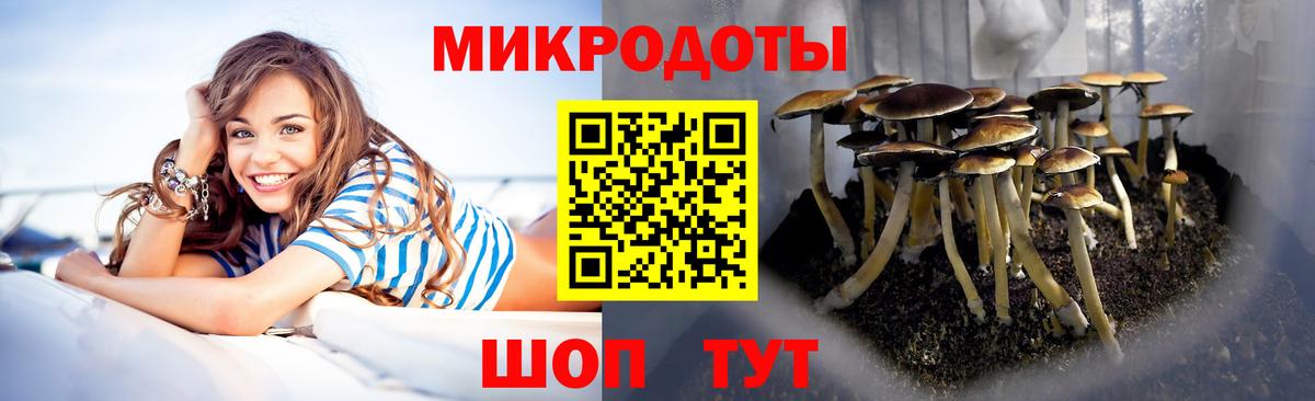 Псилоцибиновые грибы ЛСД Кыштым